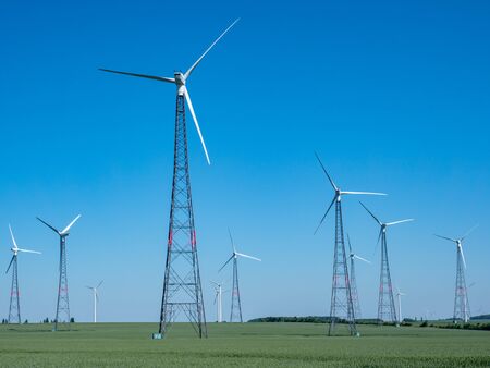 Wind farm in summer Renewable energy