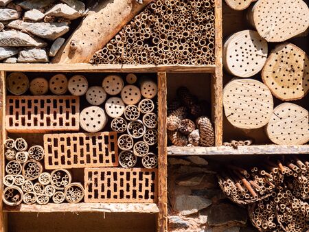 Insect hotel nature conservation species protection in the gardenの写真素材