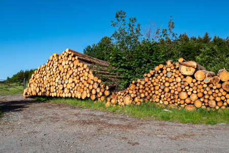 Lumber from the forest industryの写真素材