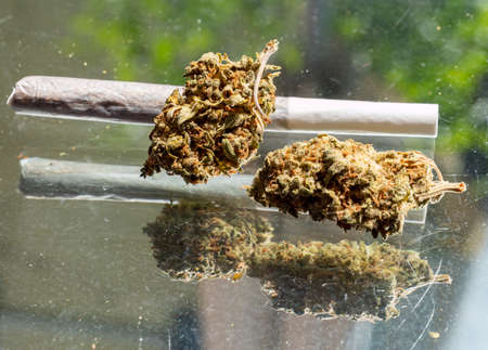 Joint with cannabis drug weedの写真素材
