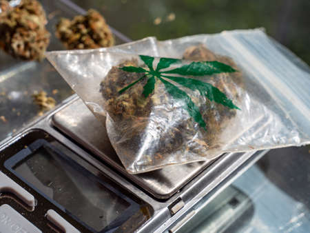 Weigh a bag of weed cannabisの写真素材