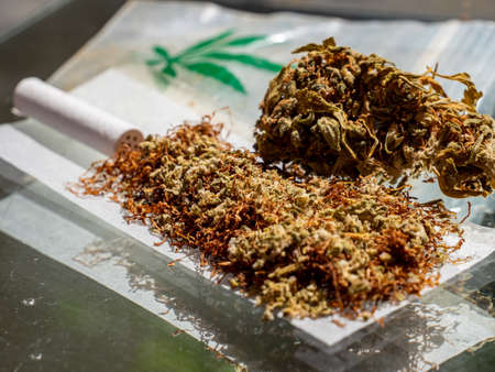Build a joint with cannabis marijuanaの写真素材