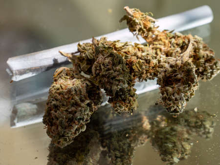 Alternative medicine cannabis marijuana backgroundの写真素材