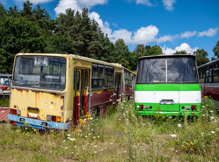 Old bus cemetery with parked busesの写真素材