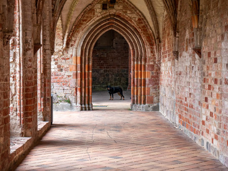 entrance to the old abbey chopin in germanyのeditorial素材