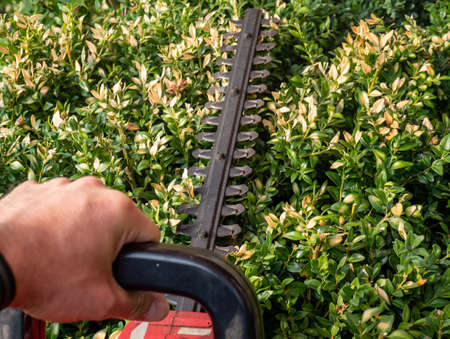 close up of a man working out on a lawn