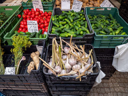 fresh vegetables in the marketの写真素材
