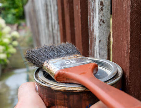 Paint a brush with paint on the garden fenceの写真素材
