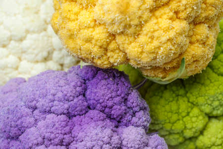 fresh colored cauliflower cabbage at the marketの写真素材