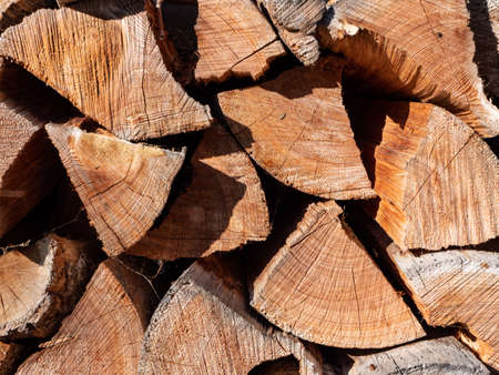 Firewood pile for winter texture