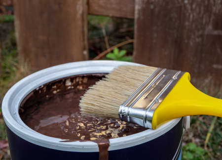 Paint bucket with brush and brown paintの写真素材