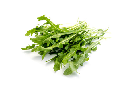 Arugula isolated on white backgroundの写真素材