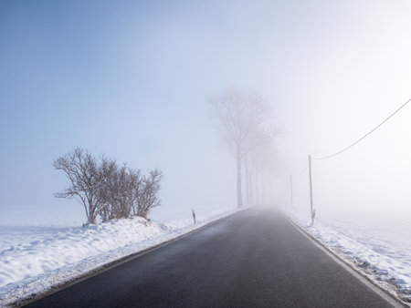 Wintry road in the fogの写真素材