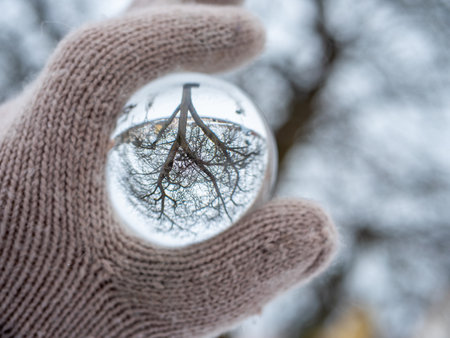 Winter landscape tree in a glass ballの写真素材