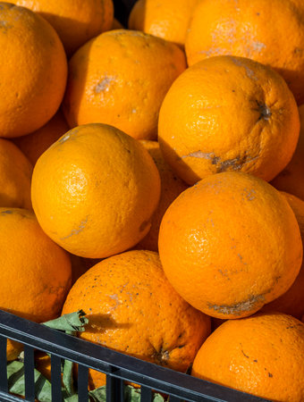 Orange fruit on the marketの写真素材