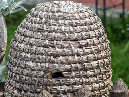 Beehive of a beekeeper in the garden