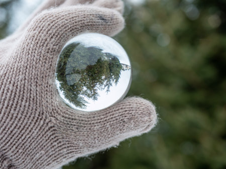 green coniferous forest in a glass ballの写真素材