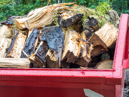 Container with timber in the yard