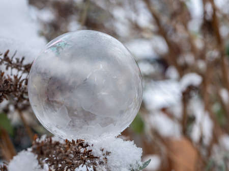 Soap bubble frozen on a frosty winter day