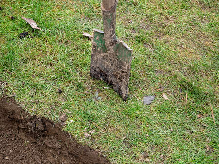 Spade is stuck in a meadow