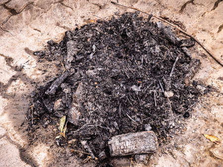 Pile of burnt garden wasteの写真素材