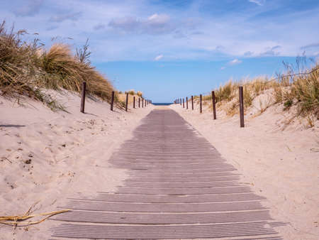 Beach path on the Baltic Sea in Warnemuendeの写真素材
