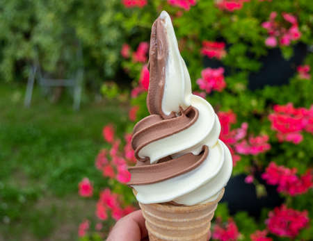 GDR soft ice cream chocolate vanilla