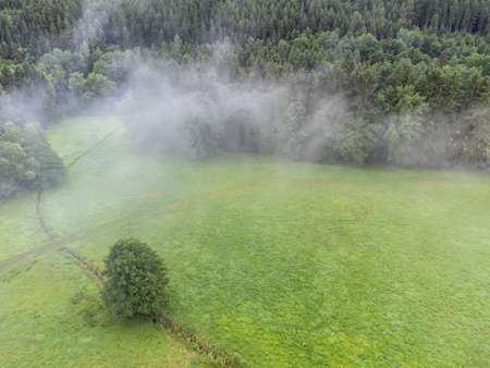 Aerial view of a clearing in the forest with cloudsの写真素材