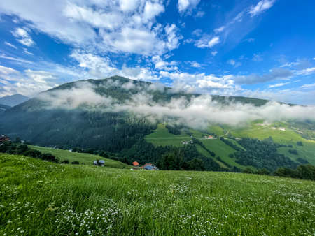 Summer meadow with clouds in the Tyrolean Alps