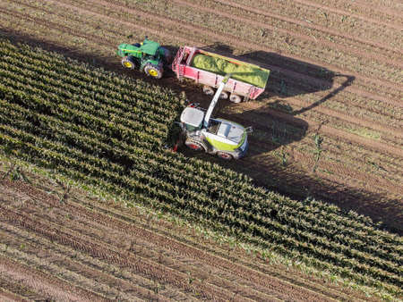 Aerial view harvesting a corn fieldの写真素材