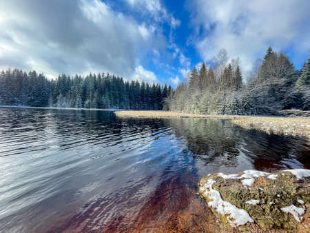 landscape with lake and forest vogtland