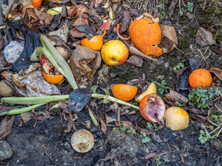 Organic waste in the garden on the compostの写真素材