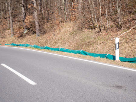 Protective fence on the road for frogs