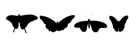 Panorama set of silhouettes of butterfliesの写真素材