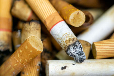 closeup of a cigarette with filter