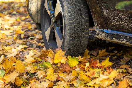 Danger in the autumn on the roadの写真素材