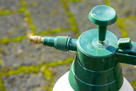 Destroy weeds and moss with chemicals