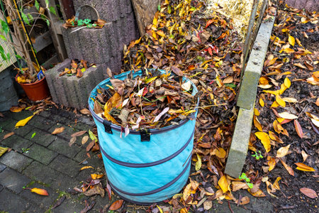 Leaves on a compost in the garden