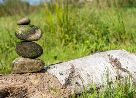 Balance stones in the forest on a log