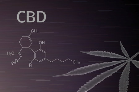 Cannabis leaf with CBD chemical formula structureの写真素材