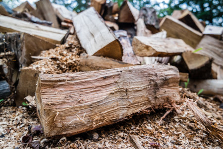 Firewood for the fireplace in winter