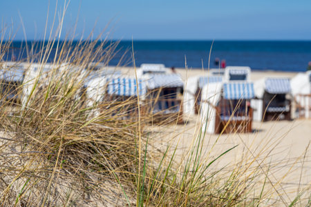 beach chairs on the beachの写真素材