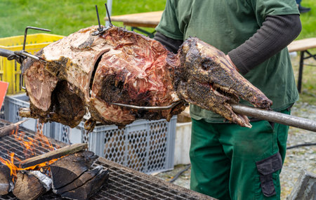 Wild boar on a skewer on a charcoal grillの写真素材