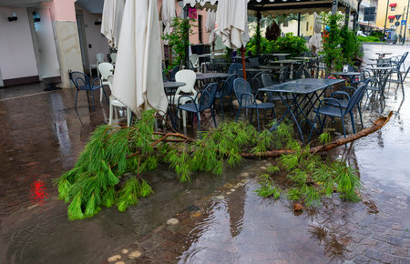 Storm with heavy rain and falling branchesの写真素材