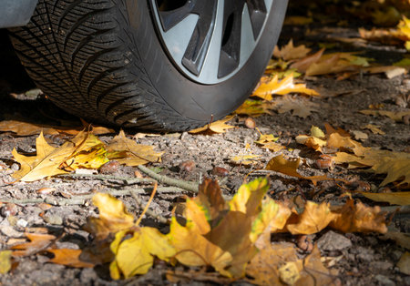 car tires and autumn leavesの写真素材
