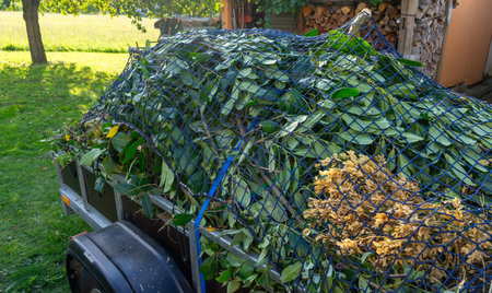Trailer with garden waste in autumnの写真素材