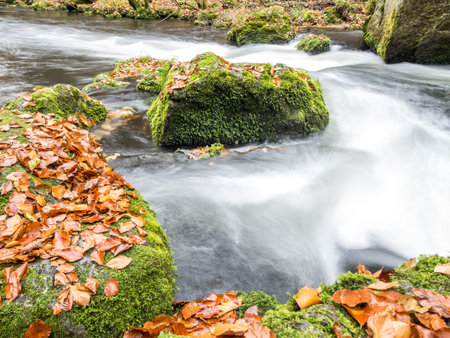 Autumnal landscape with river and foliageの写真素材