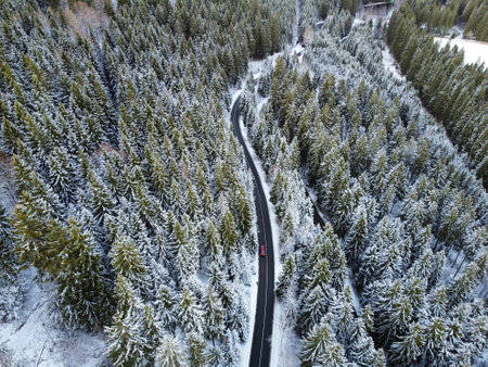 snow covered pine tree with street from the airの写真素材