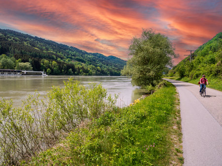 Cycle path on the Danube at sunsetの写真素材