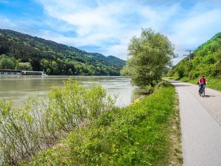 Cycle path on the Danube at sunsetの写真素材